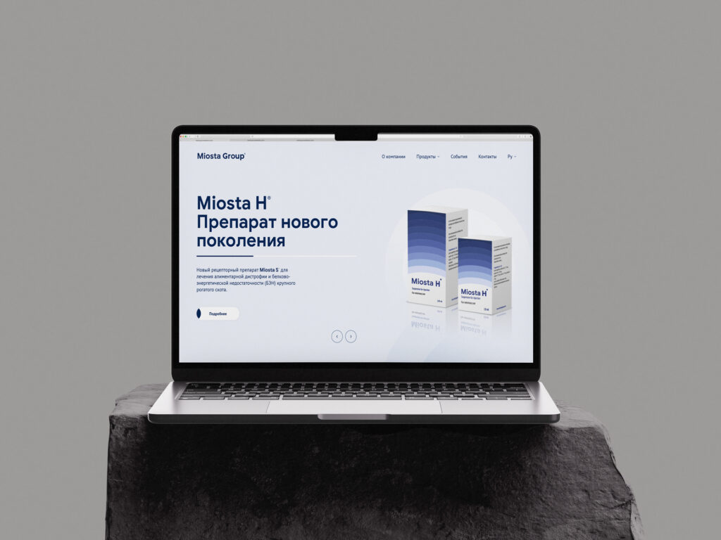 https://alex-software.ru/wp-content/uploads/2026/04/miosta-01-1024x768.jpg